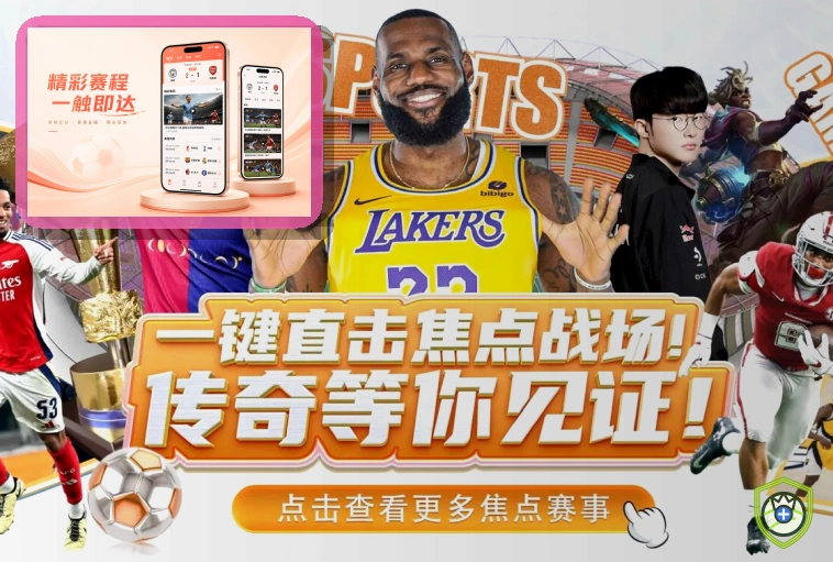 开云 网站服务项目